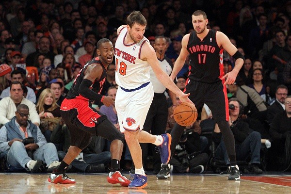New York Knicks point guard Beno Udrih 