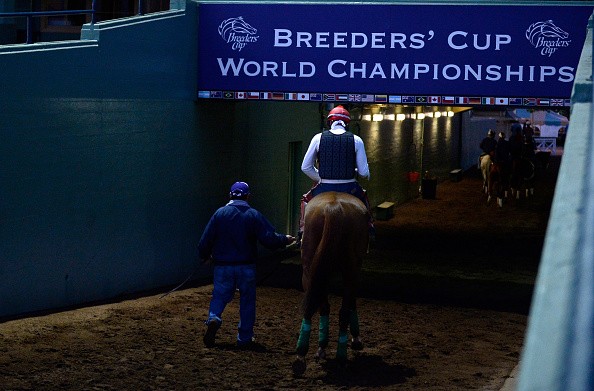 California Chrome returns to the stables