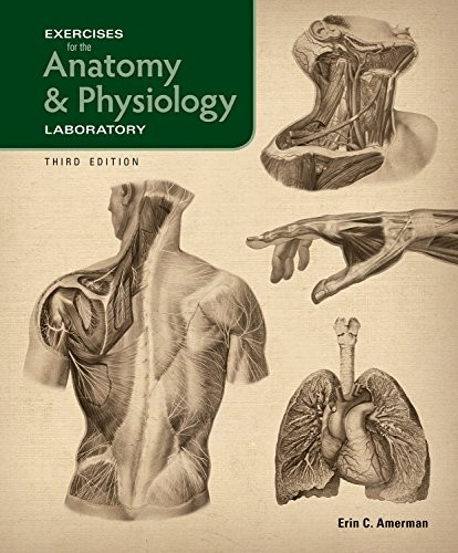 Top Best Seller exercise anatomy and physiology on Amazon You Shouldn't Miss (Review 2017)
