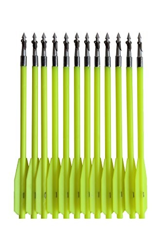 Top 5 Best Selling fishing arrows for crossbow pistol with Best Rating on Amazon (Reviews 2017)