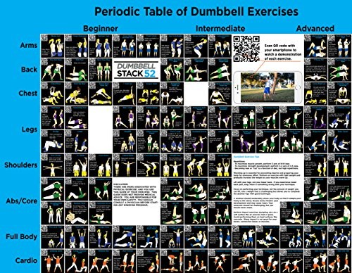 Where to buy the best weight bench exercise poster? Review 2017